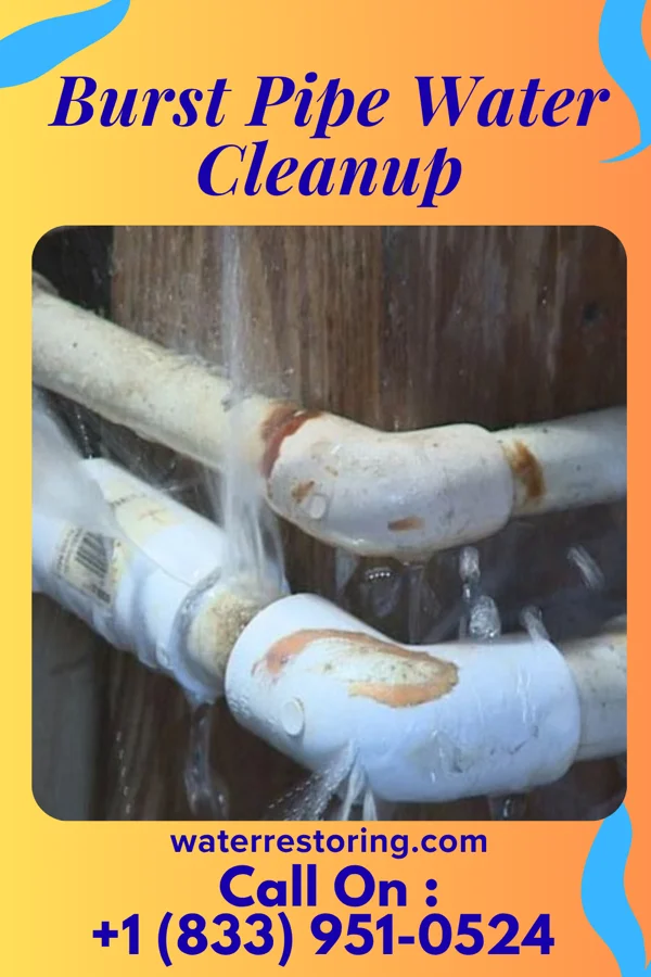 Burst Pipe Water Cleanup in New Alexandria, OH