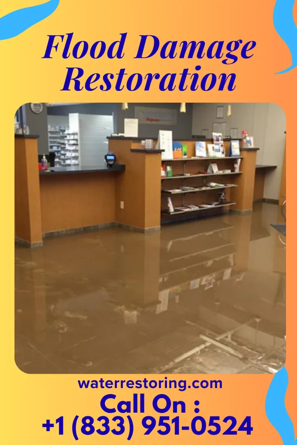 Flood Damage Restoration in New Alexandria, OH