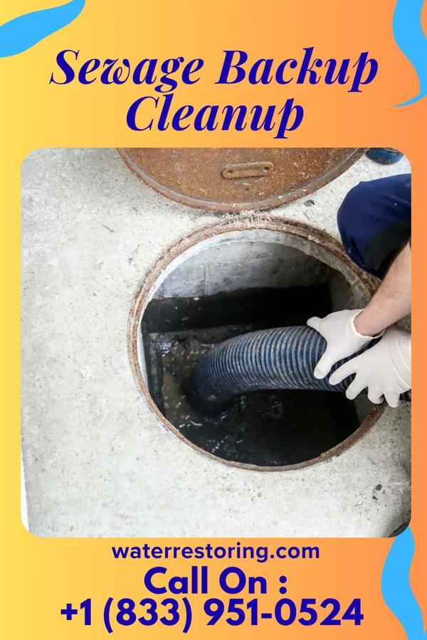Sewage Backup Cleanup in New Alexandria, OH