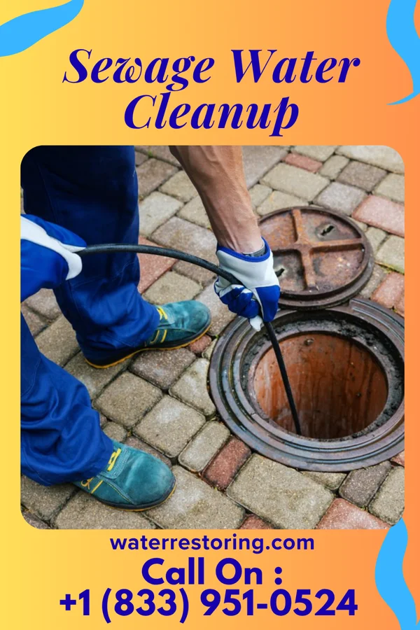 Sewage Water Cleanup in New Alexandria, OH